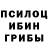 Галлюциногенные грибы Magic Shrooms Bryan Honeycutt